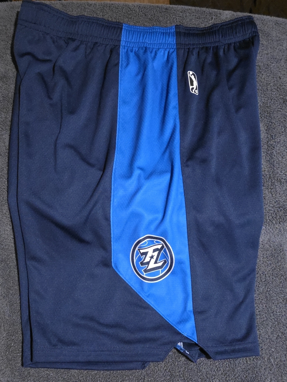 Nike Men's Navy and Royal Blue Athletic Shorts